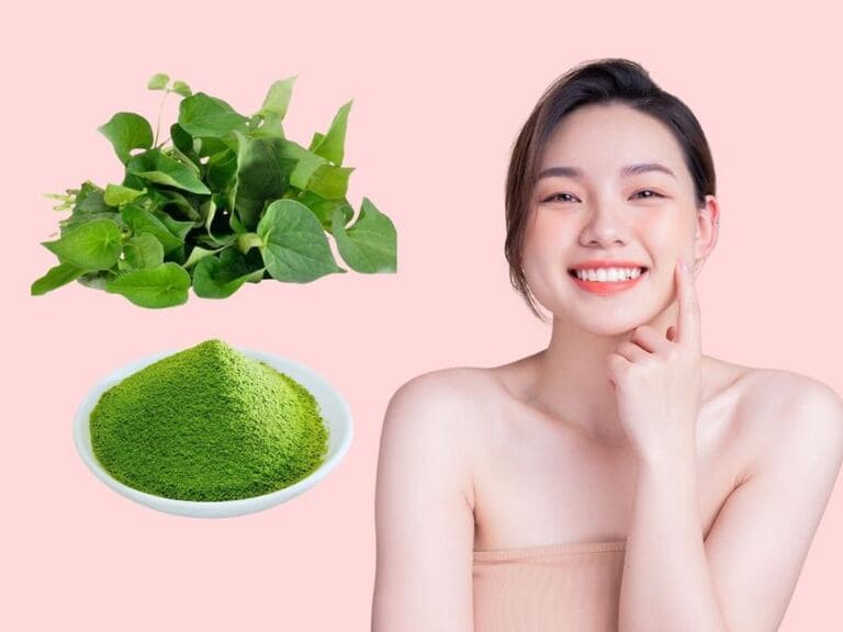 Hướng Dẫn Cách Trị Mụn Bằng Rau Diếp Cá Dễ Làm, Hiệu Quả